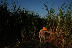 In a California farming region, researchers are mapping rural heat to protect farmworkers